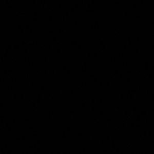 Meet your Posher, Gino